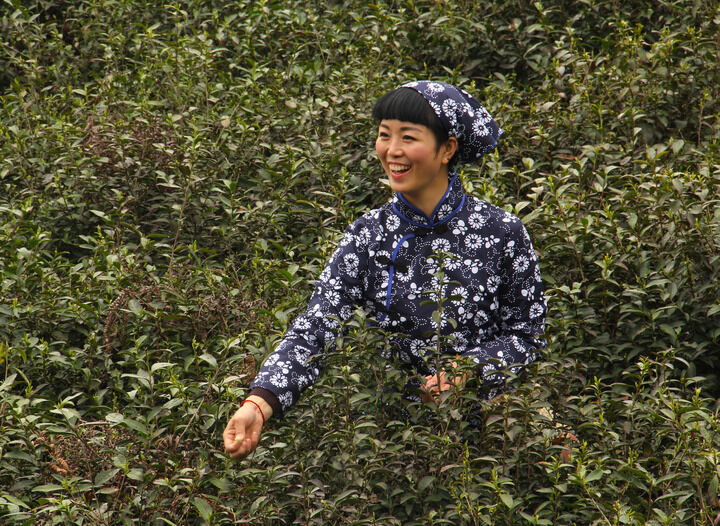 313网主播 弹壳故事